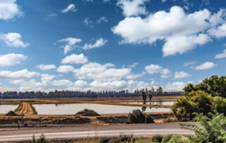 Field with water and blue skies above.