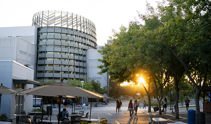 Fresno State Library